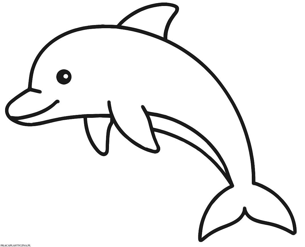delfin vorlage-titelbild