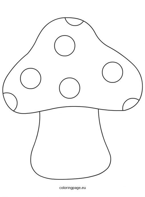 pilz vorlage-titelbild